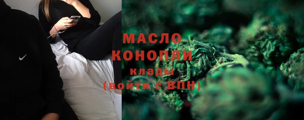 трава Сатка