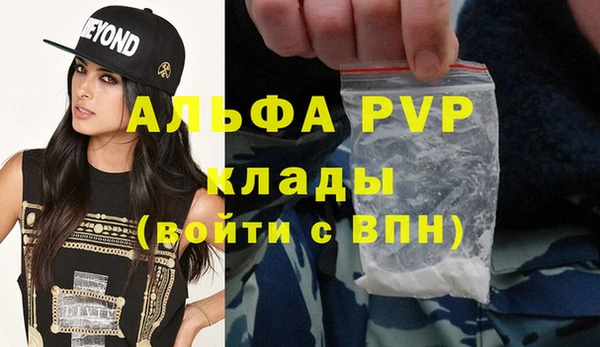 трава Сатка