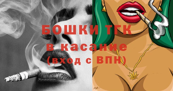 трава Сатка