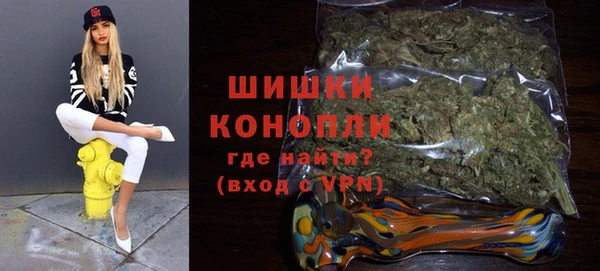 трава Сатка