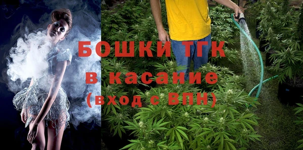 трава Сатка