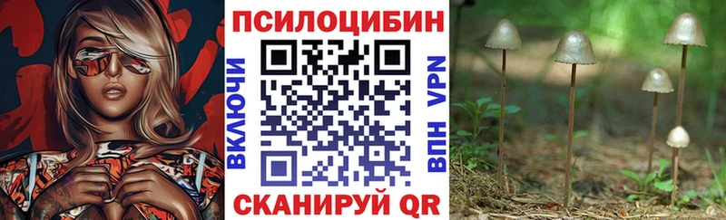 Галлюциногенные грибы Psilocybine cubensis  купить наркотики сайты  Теберда 